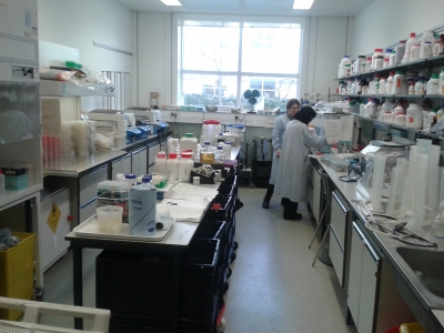 გადიდება სურათი