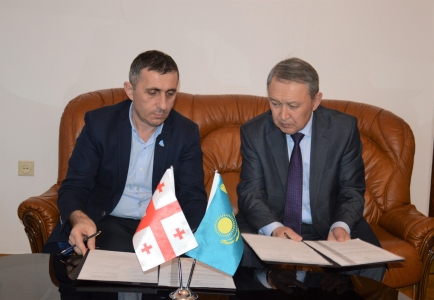 გადიდება სურათი