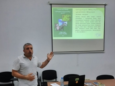 გადიდება სურათი