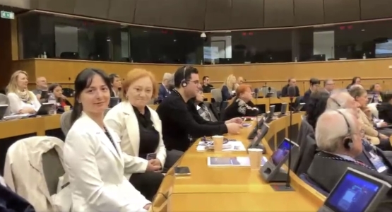 გადიდება სურათი