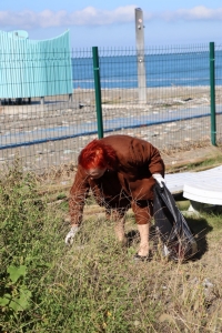 სურათი