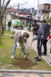 სურათი