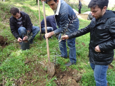 სურათი