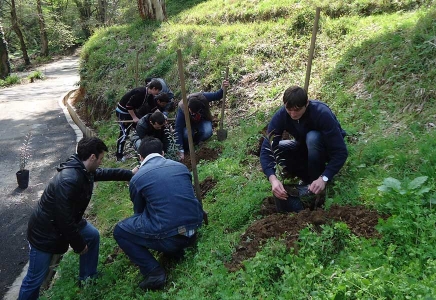 სურათი