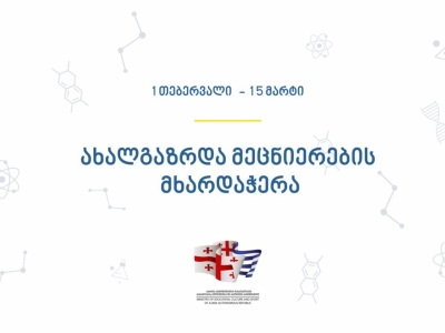 გადიდება სურათი