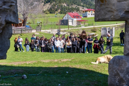 სურათი