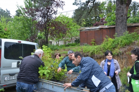 სურათი